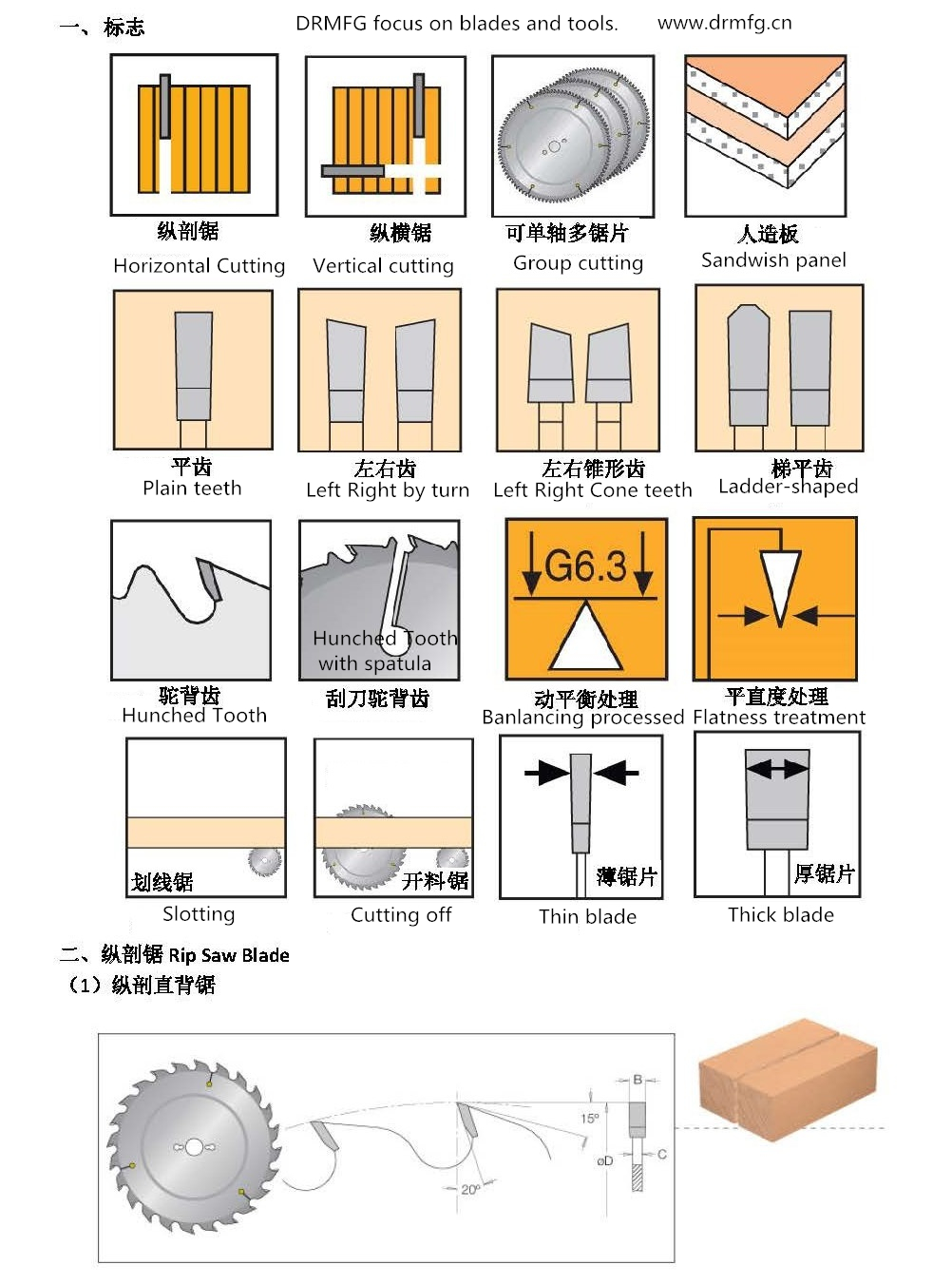 teeth shape (1).jpg